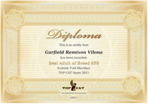 best-of-breed-certificate (1)-1