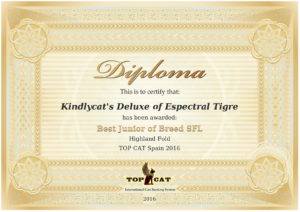 best-of-breed-certificate-1