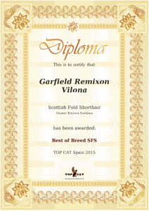 best-of-rating-certificate (1)-1