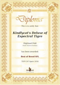 best-of-rating-certificate (1)-1