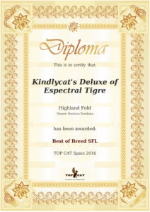 best-of-rating-certificate (1)-1