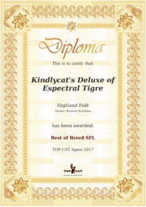 best-of-rating-certificate (4)-1